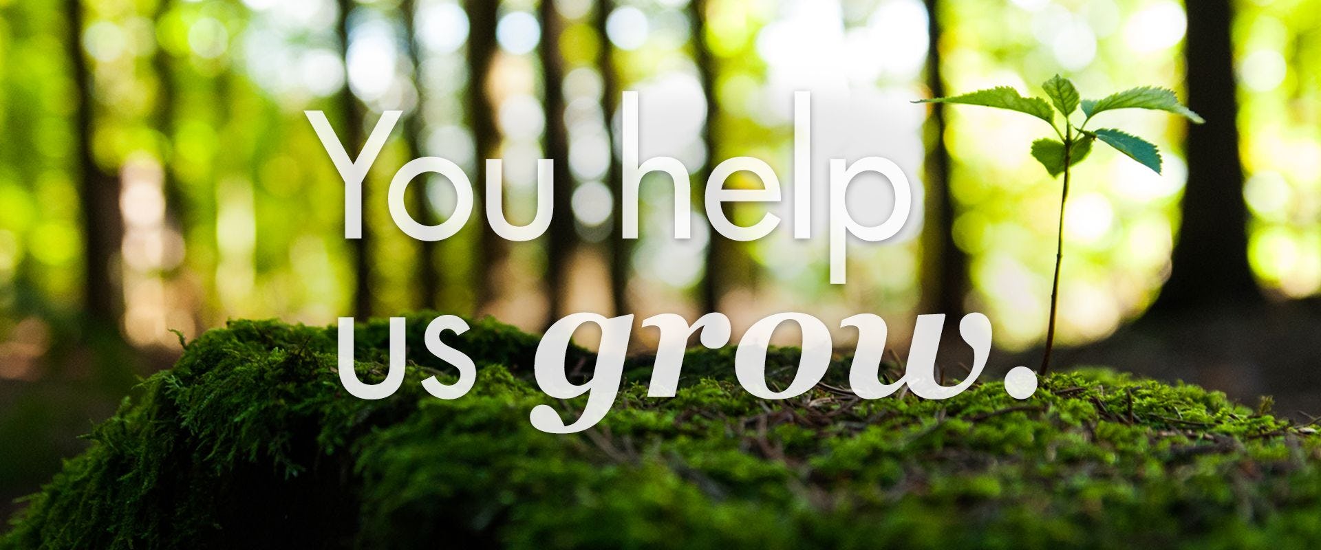 you help us grow